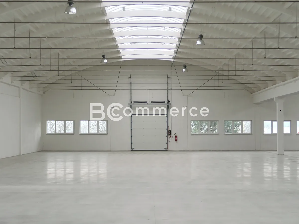 Pronájem skladového prostoru 1124 m²